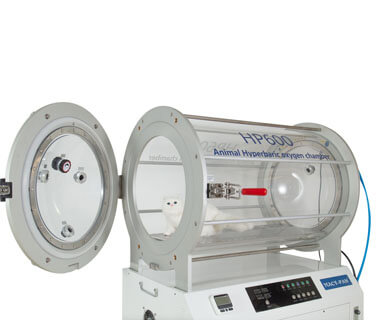 HP600 Veterinary Hyperbaric Oxygen Chamber for Animal Clinic