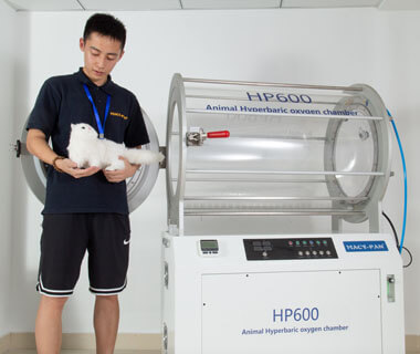 HP600 Veterinary Hyperbaric Oxygen Chamber for Animal Clinic