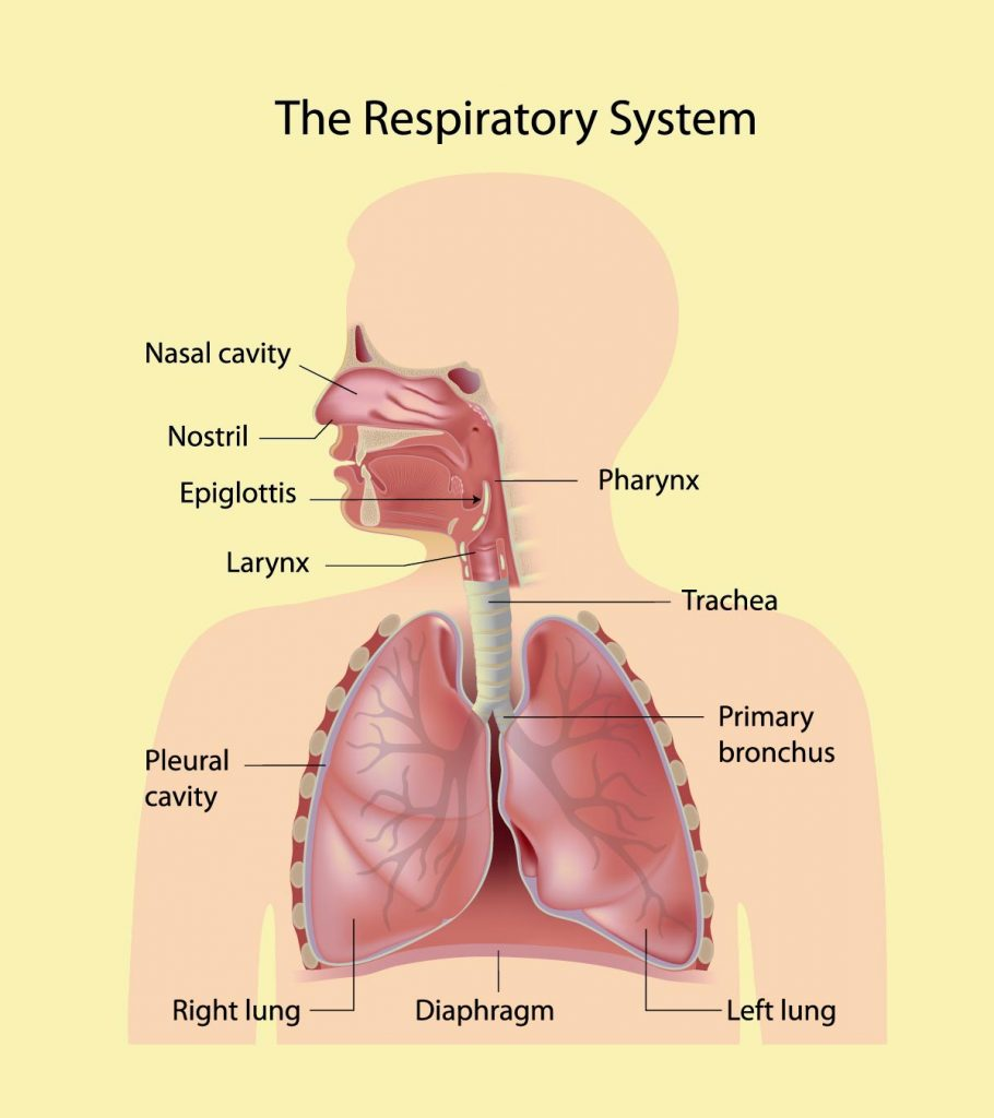 Hyperbaric chamber Manufacturers 2021