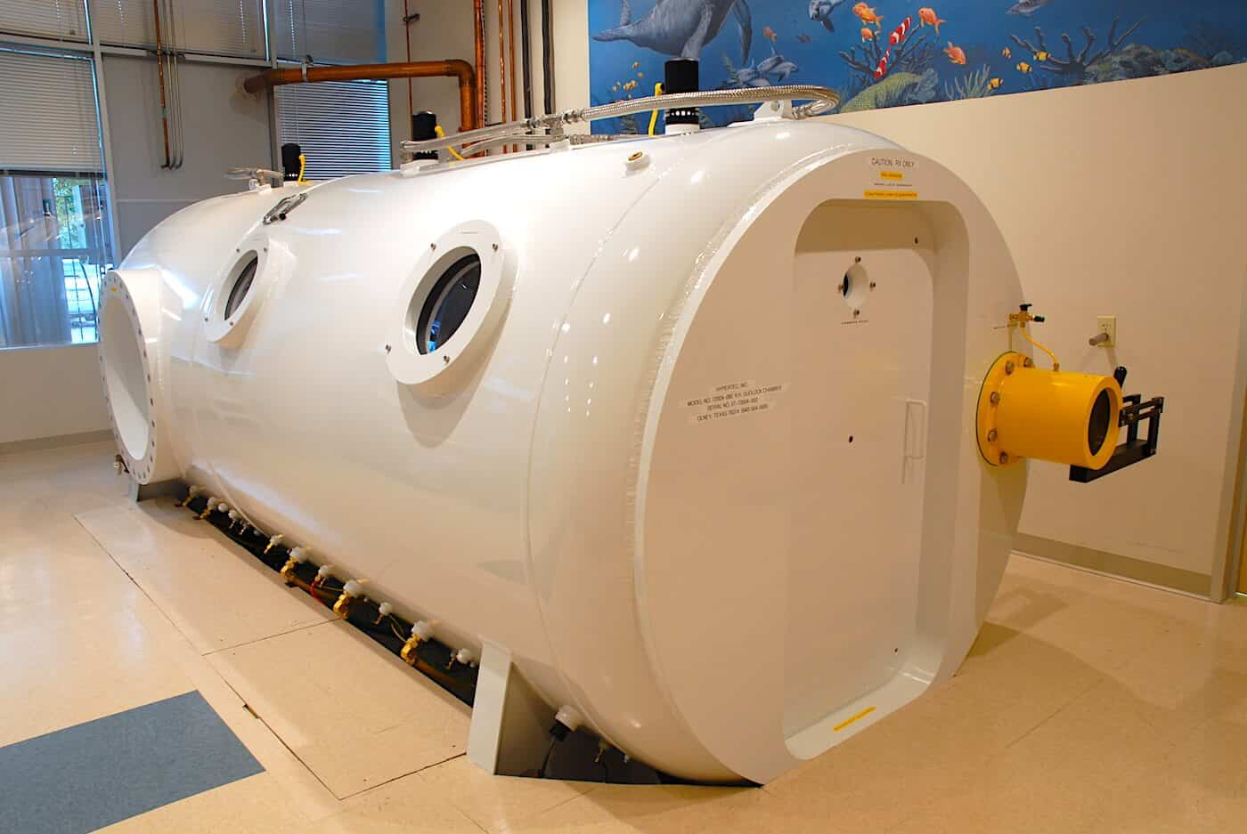 Why gym owners should buy hyperbaric chamber Canada?